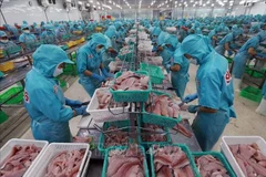 Workers process aquatic products for export. (Photo: VNA)