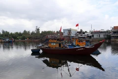 Da Nang is working to restructure its fishing fleet in efforts to promote to legal and sustainable fisheries development. (Photo: VNA)