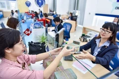The daily reference exchange rate is set at 25,102 VND/USD on March 31. (Illustrative photo: VNA)