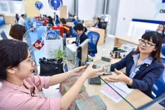 The daily reference exchange rate is set at 25,102 VND/USD on March 31. (Illustrative photo: VNA)