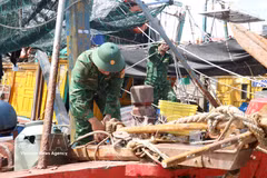 Border guards assist fishermen to gear up for storm Maysak. (Photo: VNA)