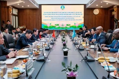 The meeting between Minister of Agriculture and Rural Development Le Minh Hoan and a high-ranking delegation of FAO (Photo courtesy of the MARD)