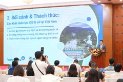 Phung Van Dong, director of AIT Vietnam, speaks at the forum. (Photo courtesy of the organiser)
