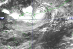 At 4am on July 21, Typhoon Wipha was at around 21.5 degrees North and 110.4 degrees East, on China’s Leizhou Peninsula. (Source: National Centre for Hydro-Meteorological Forecasting)
