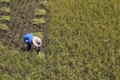 Thailand pushes carbon data use for net-zero emissions