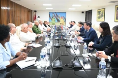 The meeting between the delegation from the Scientific Council of the Communist Party of Vietnam commissions and Roberto Morales Ojeda, Politburo member, Permanent Member of the Secretariat of the Communist Party of Cuba Central Committee, and head of its Organisation Commission (Photo: VNA)
