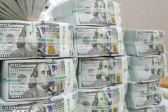 The daily reference exchange rate is at 25,152 VND/USD on December 4. (Photo: VNA)