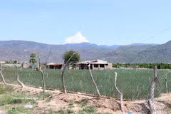 The core are of the site for the Ninh Thuan 2 nuclear power plant in Thai An hamlet of Vinh Hai commune, Khanh Hoa province (Photo: VNA)