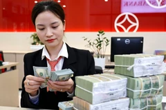 The daily reference exchange rate is maintained at 25,273 VND/USD on August 27. (Photo: VNA)