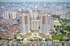 The real estate sector attracted 3.72 billion USD in FDI in 2024. (Photo: VNA)