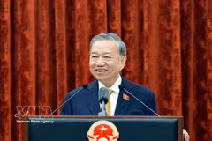 General Secretary of the Communist Party of Vietnam Central Committee and President of Vietnam To Lam (Photo: VNA)