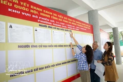 Lists of candidates in the deputies to the 16th National Assembly and People’s Councils at all levels are publicised at Polling Station No. 14 in Thanh Sen ward, Ha Tinh province. (Photo: VNA)