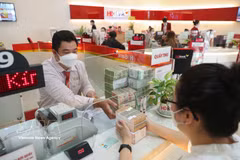 The daily reference exchange rate is at 25,106 VND/USD on April 13. (Photo: VNA)