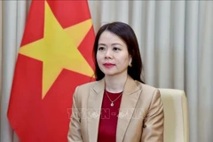 Deputy Minister of Foreign Affairs Nguyen Minh Hang (Photo published by VNA)