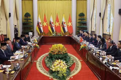 The talks between State President Luong Cuong and Sultan of Brunei Haji Hassanal Bolkiah in Hanoi on December 1 (Photo: VNA)