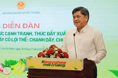 Deputy Minister Tran Thanh Nam speaks at the forum held in HCM City on July 18. (Photo: VNS/VNA)