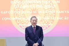 Party General Secretary To Lam speaks at the meeting with representatives of the Vietnamese embassies and communities in Nordic countries in Helsinki on October 21. (Photo: VNA)