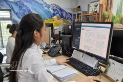 A company in Da Nang operates a customer relationship management system supported by AI chatbots. (Photo: VNA)