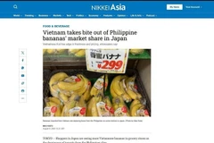 Nikkei Asia reported that Vietnamese bananas are becoming more popular in grocery stores of Japan. (Screenshot photo: VNA)