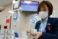 The daily reference exchange is at 25,185 VND/USD on July 18 (Photo: VNA)