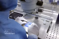 A worker checks electronic components at a factory of the RoK-invested MCNEX VINA Co. Ltd in the Phuc Son Industrial Park, Ninh Binh province. (Photo: VNA)