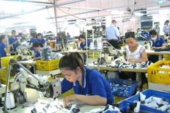 Workers make sports gloves at the factory of Tri-Viet International Company Ltd, located in Tra Noc 2 Industrial Zone in Can Tho. (Photo: baocantho.com.vn)