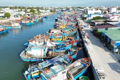 Boats dock at the Dong Hai fishing port in Phan Rang - Thap Cham city, Ninh Thuan province. (Photo: VNA)