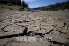 Malaysia moves to enact landmark climate change law 