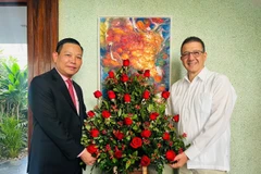 Vietnamese Ambassador to Venezuela Vu Trung My (left) and Cuban Ambassador Jorge Luis Mayo Fernandez at their meeting in Caracas on December 31 (Photo: VNA)