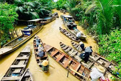 Ben Tre impresses with the image of 'Coconut land'. (Photo: hanoimoi.vn)