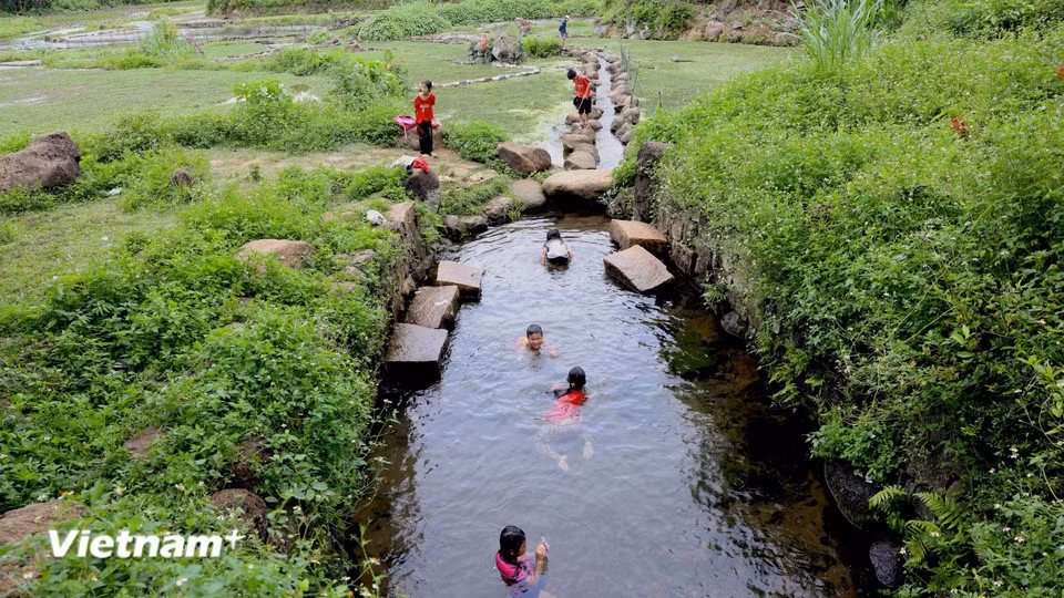 The Cham people also create a distinctive irrigation system linked to the wells, enabling Tay Gio Linh commune to produce safe and specialty farm products such as watercress, yam, purple sweet potato, pepper, turmeric, and others. (Photo: Thanh Phong/VietnamPlus)