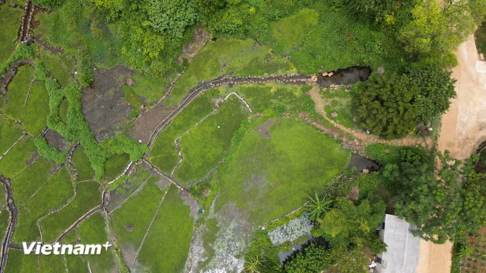 The 14 ancient wells have unique names: Coi, Duoi, Bung, Trang, Dao, Gai 1, Gai 2, Nay, Tep, Ong, Ba, Gai, Mang, and Pheo. Pictured is Ong well. (Photo: VietnamPlus)