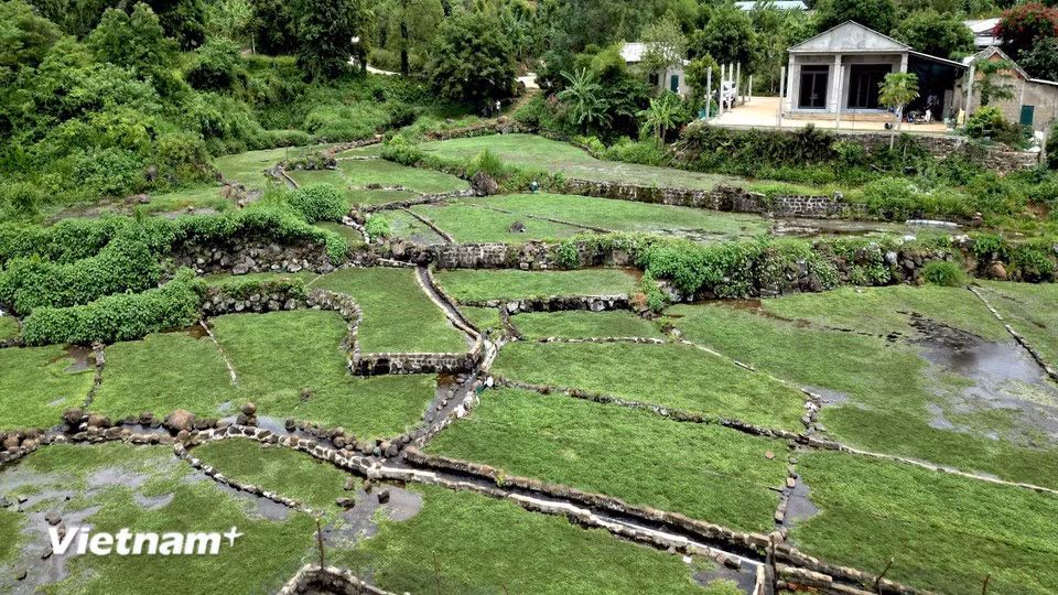 Pictured is the ancient Cham stone irrigation network that has survived for thousands of years. With a convenient location near the Truong Son National Martyrs’ Cemetery, Cua Viet Beach, and Doc Mieu army postmen monument, the Gio An ancient well system is expected to boost tourism in Quang Tri province. (Photo: VietnamPlus