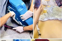 4.5kg cocaine seized by customs at Tan Son Nhat airport (Photo courtesy of Department of Customs)