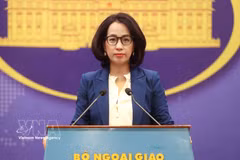 Ministry of Foreign Affairs (MoFA) Pham Thu Hang (Photo: VNA)