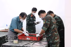 The recovery and identification of war martyrs’ remains are carried out in strict accordance with established procedures. (Photo: VNA) 