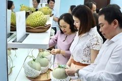 Fruit products displayed at the exhibition are equipped with QR codes for origin traceability. (Photo: VNA) 