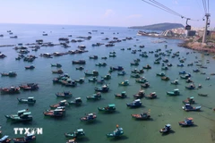 Over 28,000 fishing vessels nationwide now fitted with VMS, covering more than 99% of those mandated. (Photo: VietnamPlus)