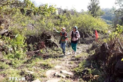 The historic Pavie stone road runs from Sin Suoi Ho commune of Lai Chau province to Den Sang commune of Lao Cai province. (Photo: VNA)