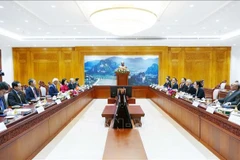 An overview of the talks between the Vietnam Peace Committee and the Lao Committee for Peace and Solidarity. (Photo: VNA)