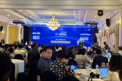 The seminar attracts over 250 delegates from travel agencies, hotels, and transport companies. (Photo: VietnamPlus)