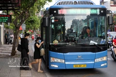Ho Chi Minh City proposes free bus rides on 135 routes from May (Photo: VNA)
