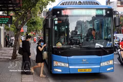 Ho Chi Minh City proposes free bus rides on 135 routes from May (Photo: VNA)