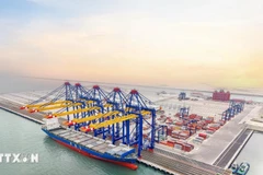 Hateco Hai Phong International Container Terminal (HHIT) (Photo: VNA)