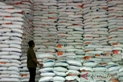 Indonesia's government rice reserves at the Perum Bulog warehouse, Aceh Regional Office, Siron Village, Aceh Besar district, Aceh (Photo: ANTARA) 