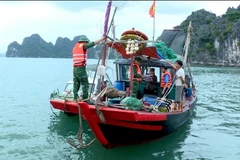Officers of the Hon Gai port border gate guard station coordinate inspections and handle vessels engaged in illegal fishing activities in Ha Long Bay. (Photo: Quang Ninh Newspaper) 