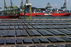 A view of Sembcorp Solar’s solar farm at Keppel Terminal in Singapore June 26, 2025. (Photo: Reuters) 