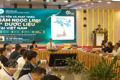 Delegates attend the international scientific conference, "Ngoc Linh Ginseng – From National Product to Global Brand," in Da Nang on August 2. (Photo: VNA)