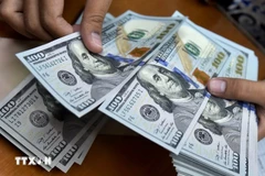 Illustrative Image (Photo: VNA)