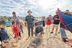 Fisherman Tran Phuong Nam discovered a sea turtle entangled in his fishing net while fishing off the coast of Ho Tram commune, Ho Chi Minh City, on June 4. (Photo: VNA)